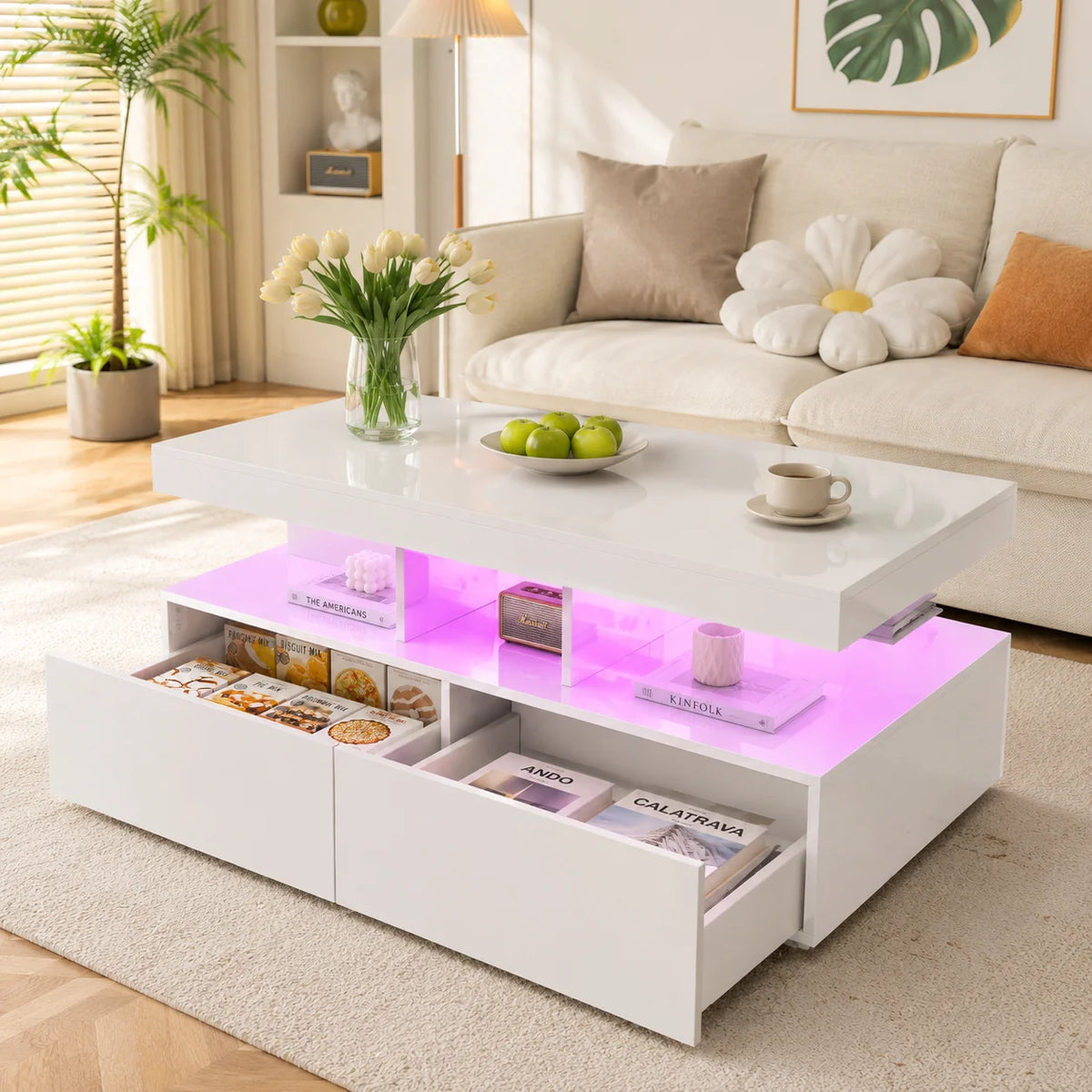 Modern Coffee Table with Storage